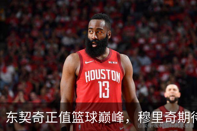 东契奇正值篮球巅峰，穆里奇期待健康之旅