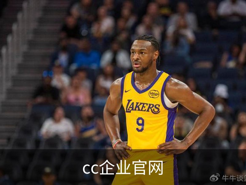 cc企业官网概况